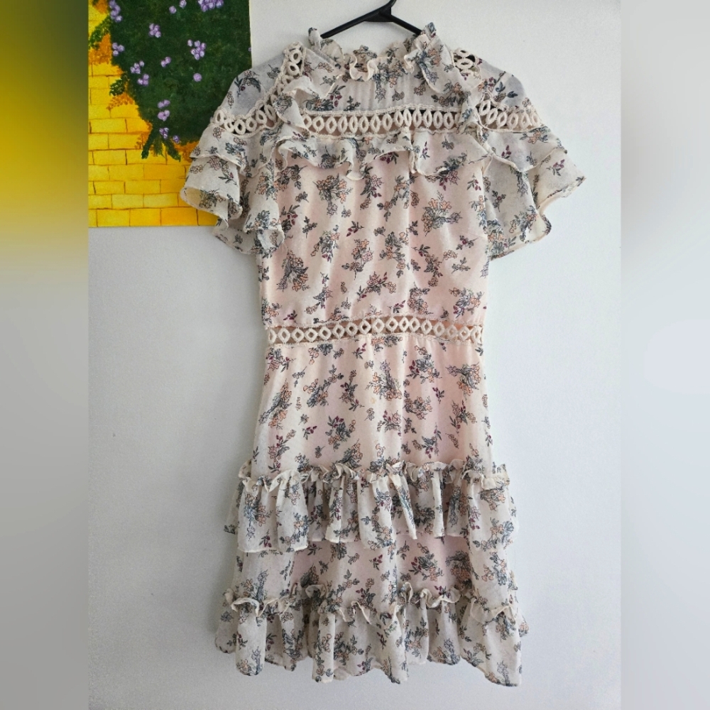 Baby Blush Pink Floral Ruffle Dress